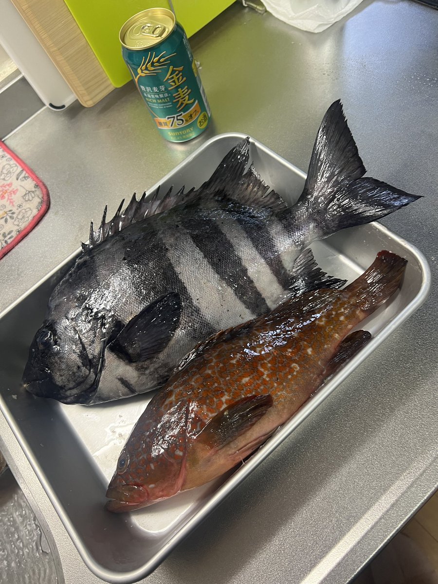 ゑ〜ちゃん。 tweet media