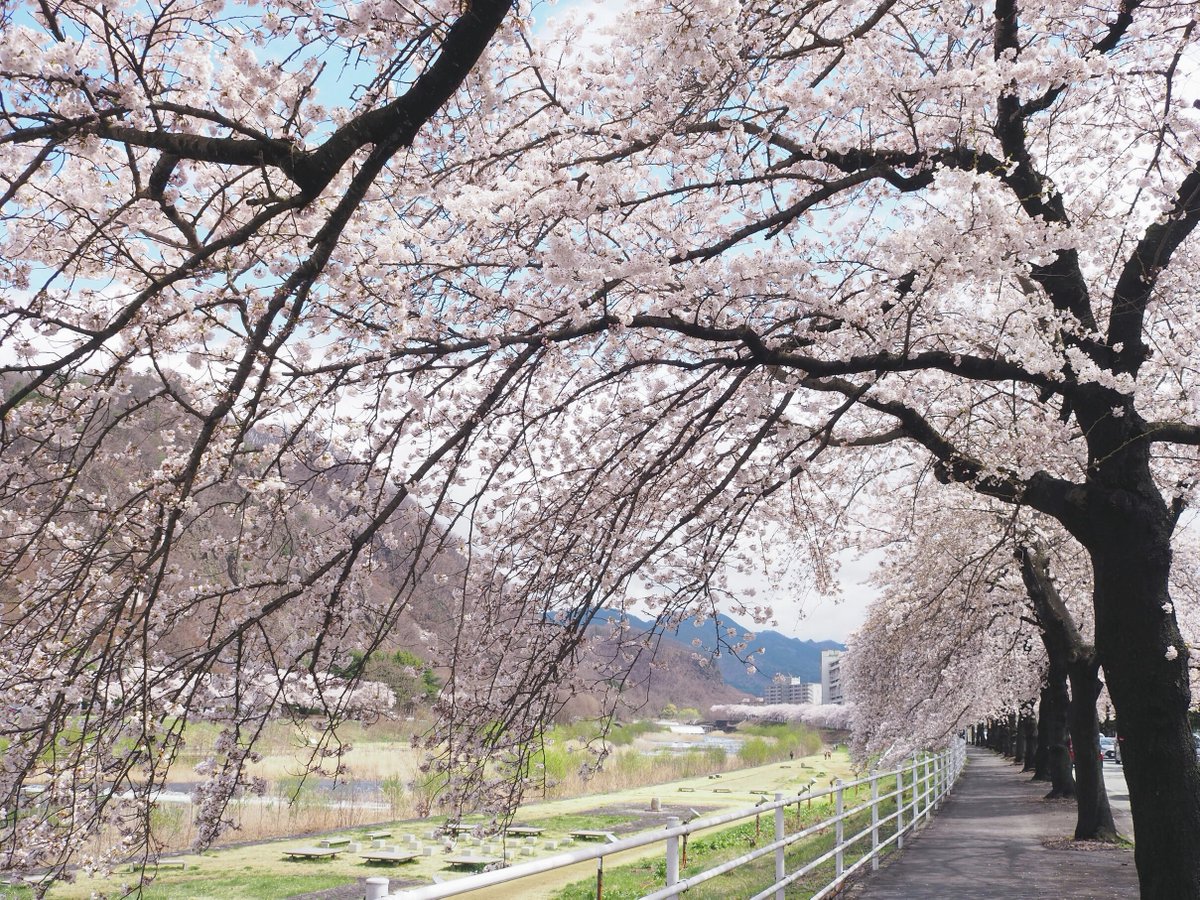 びゅうたび【列車旅/旅行のお役立ち情報🚃】 tweet media