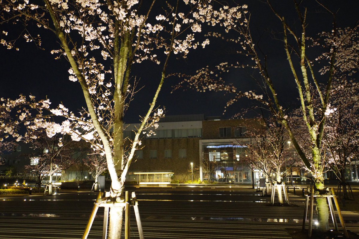 道び完 tweet media