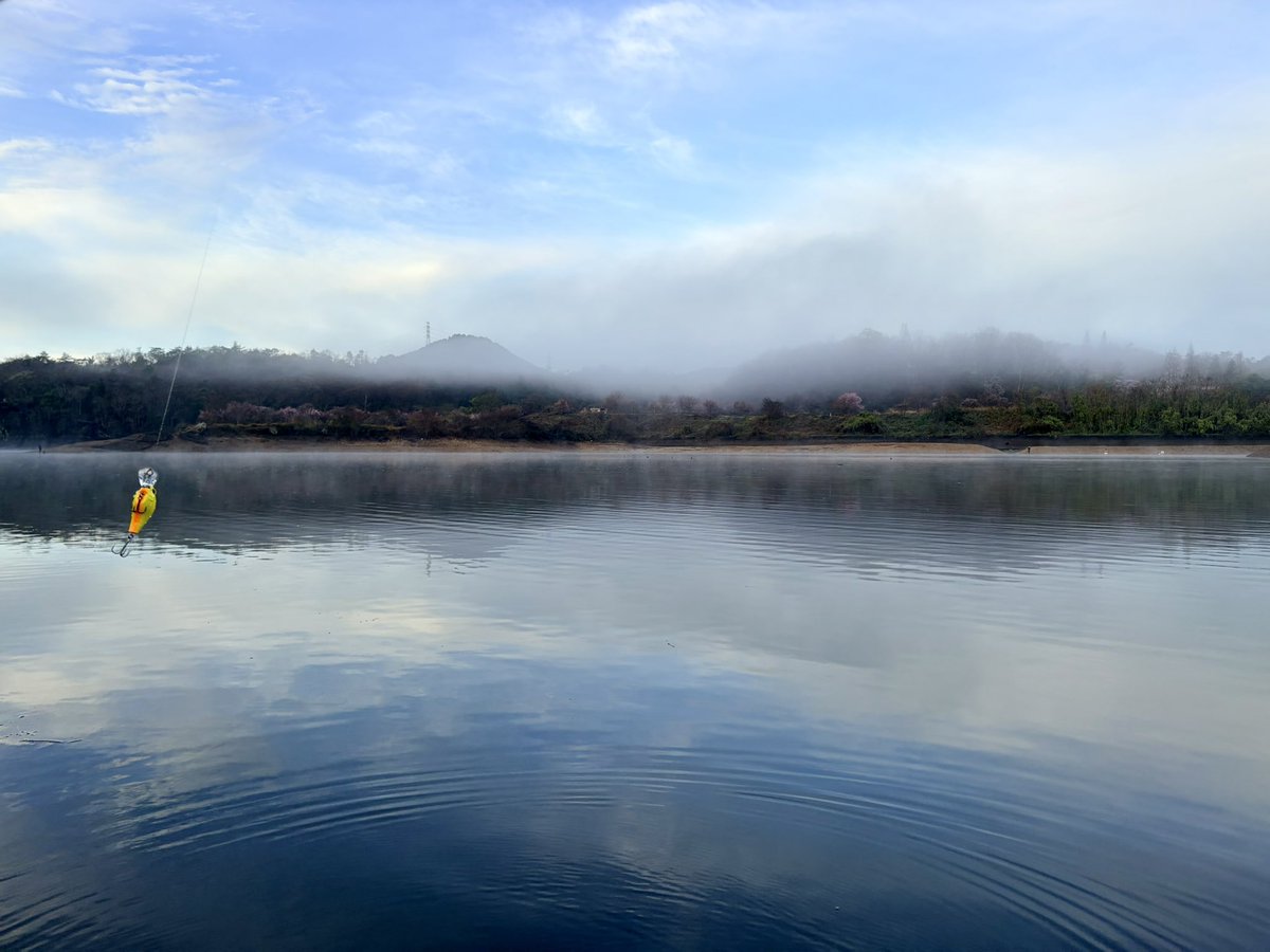 ねぎとろG tweet media