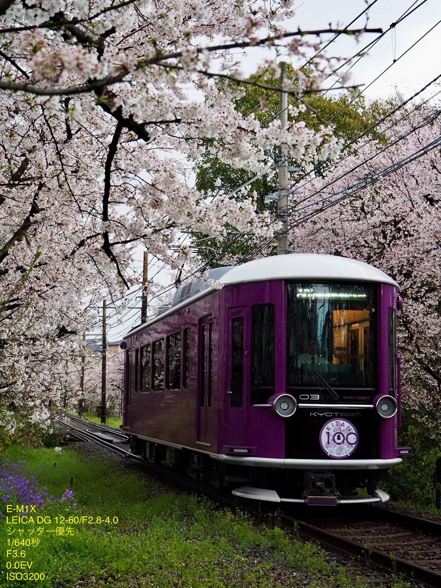 としぼう tweet media