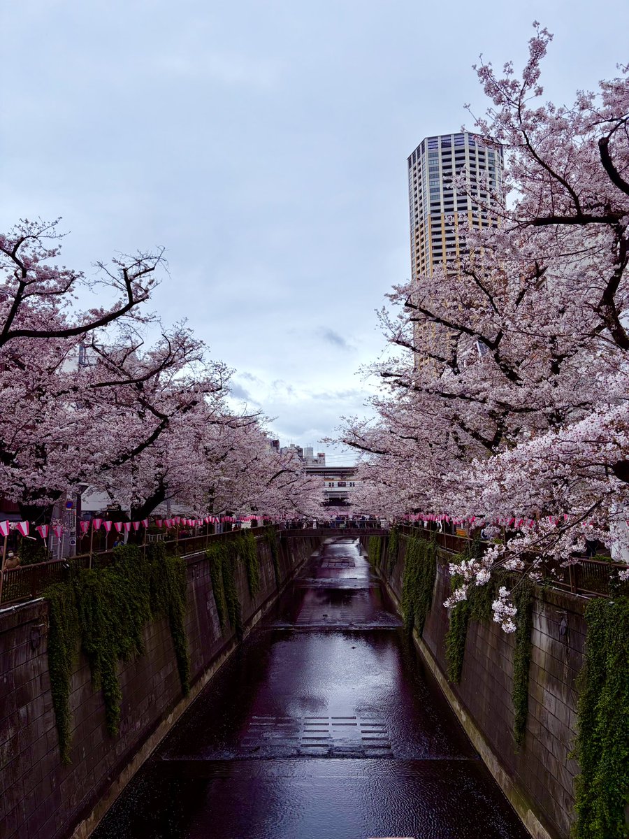 Jon Yongfook tweet media