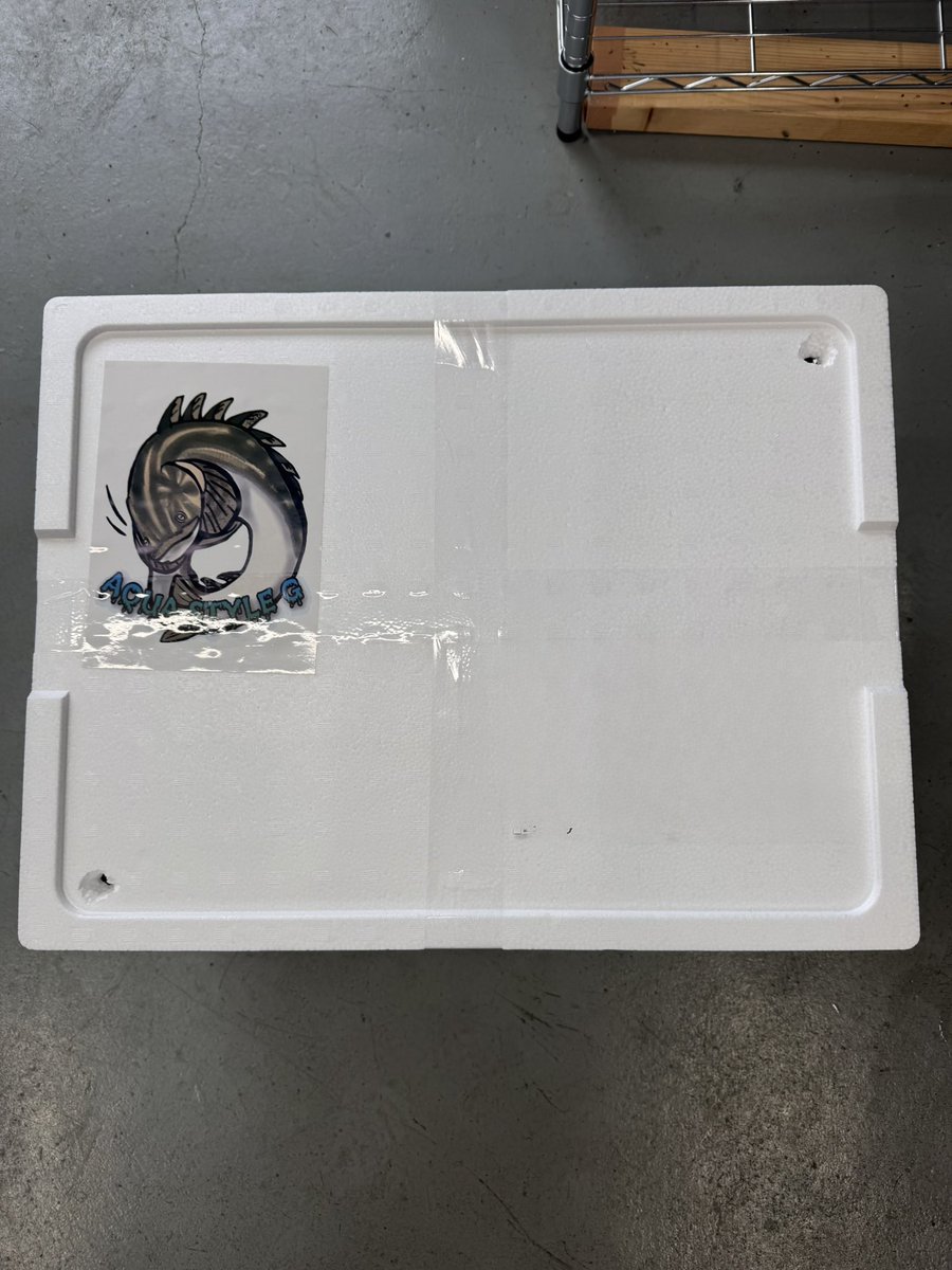 AQUA STYLE G tweet media