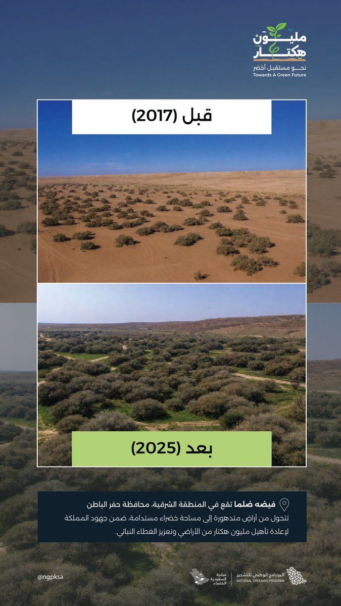 البرنامج الوطني للتشجير tweet media