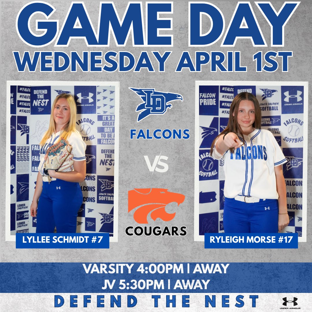 Lower Dauphin Softball tweet media