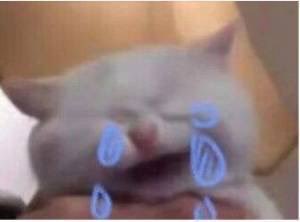 Kanako❦⁴₃ tweet media