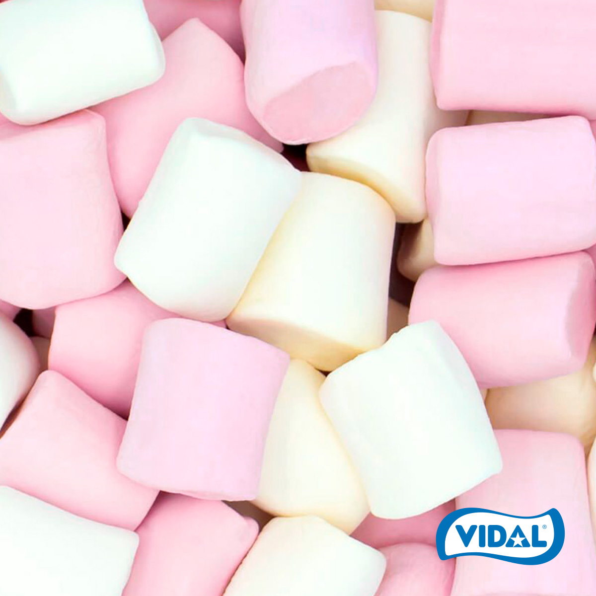 Vidal Golosinas tweet media