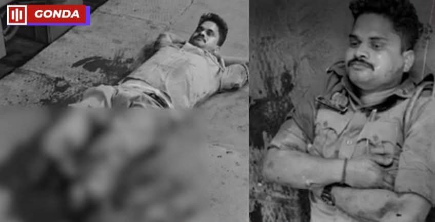 Danish Chaudhary tweet media