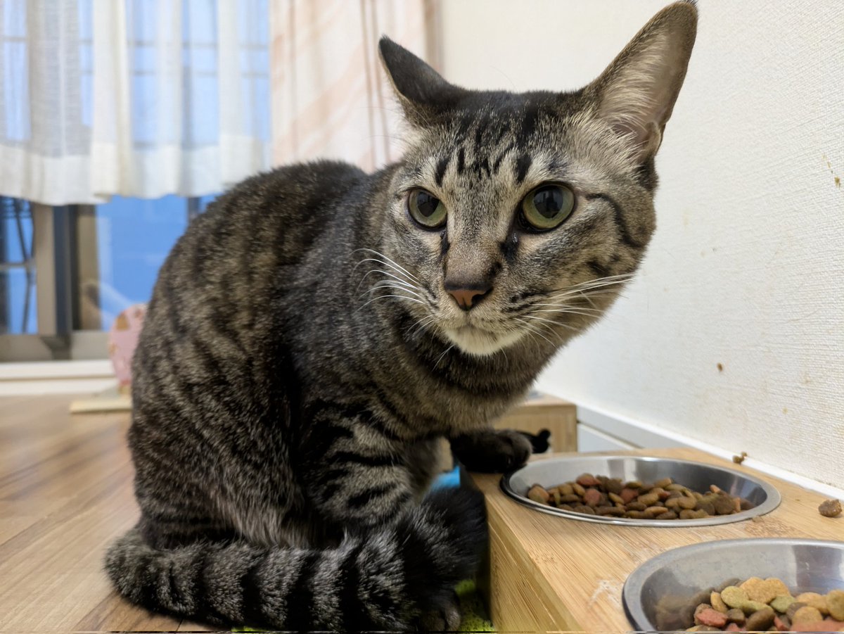 サスケざえもん tweet media