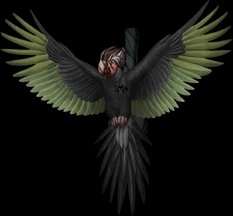 Ordem Dos Memes Paranormais #HEXATOMBE 🌕🩸 tweet media