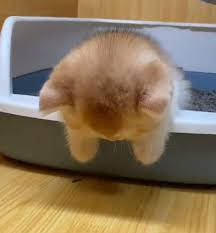 Νεκρή ζωή tweet media