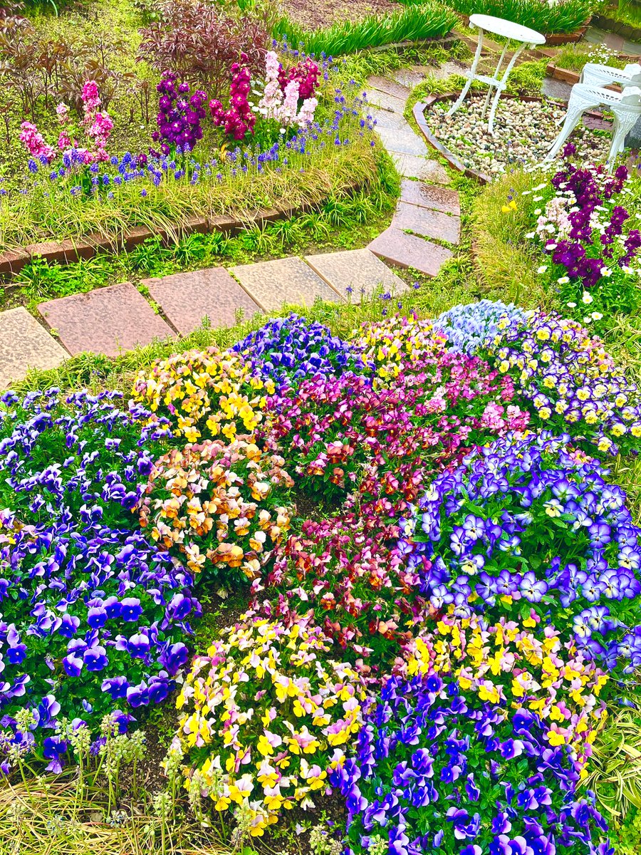 冬兎ꪔ̤(ふゆう) tweet media