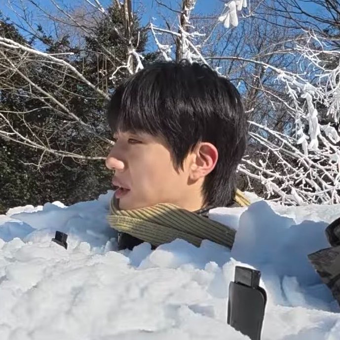 찜블리 •᷄ɞ•᷅ tweet media