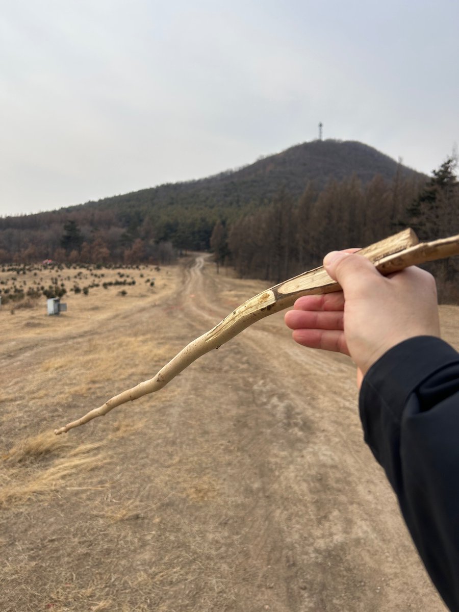 robert10917826's tweet photo. 爬山快乐很简单，捡到一根趁手的棍子，一段慢慢走的路。 https://t.co/mI3kGxn5Ov