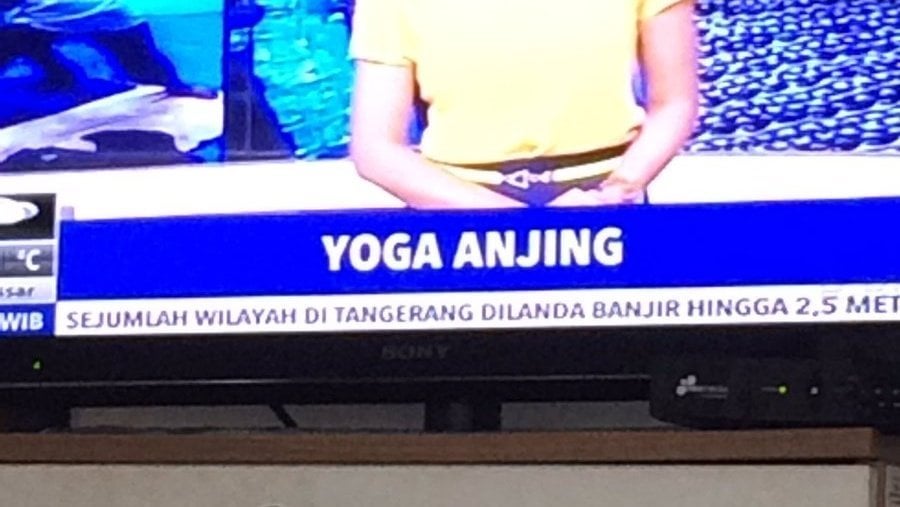Potret yoga kerja