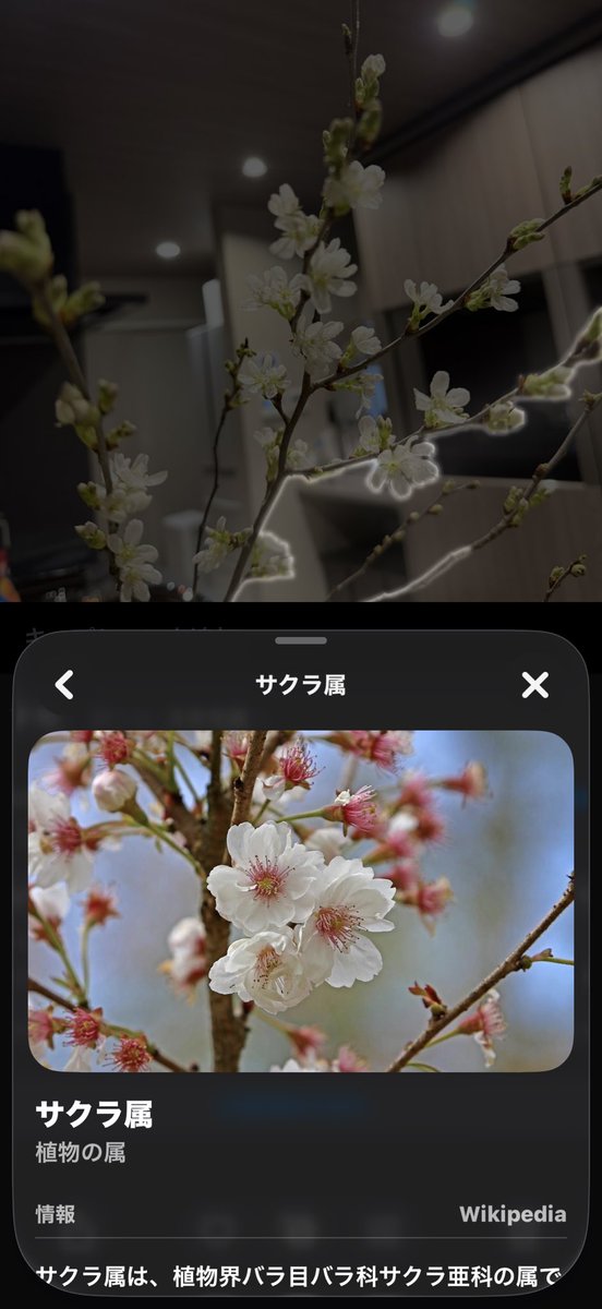 ꧁ぷれこ꧂꧁Marathon꧂ tweet media