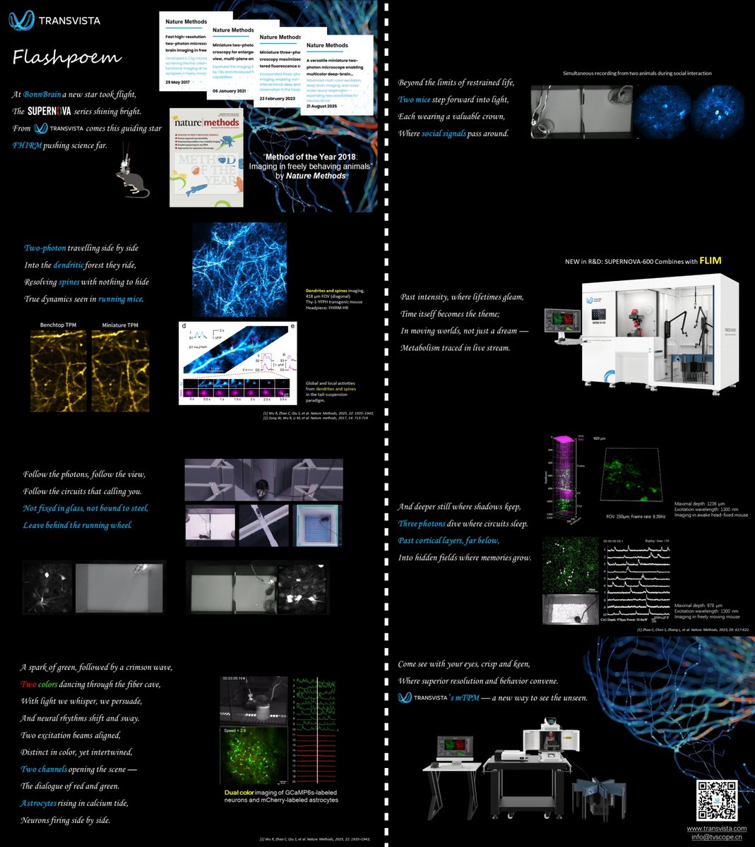 TRANSVISTA tweet media
