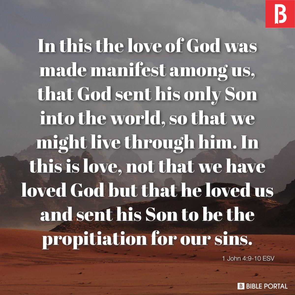 grateful American |ex-SFan| still rooting for CA🫶 tweet media