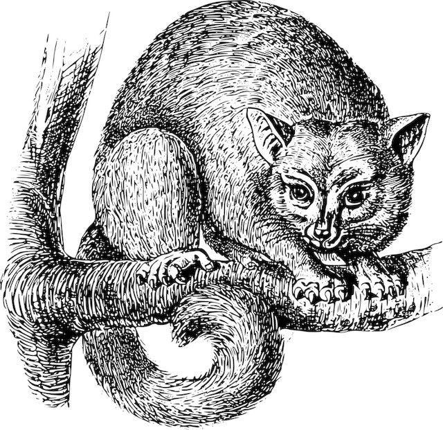 Robin Romero tweet media