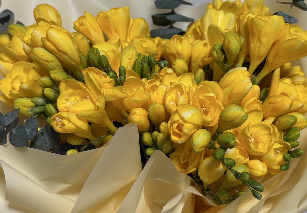 진한화장을해라 tweet media