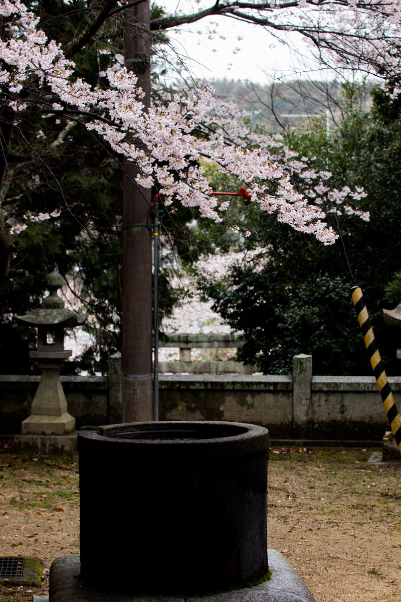 きゅー tweet media