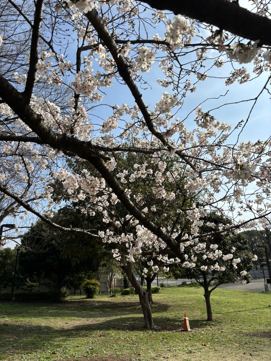 Chris Peppler tweet media