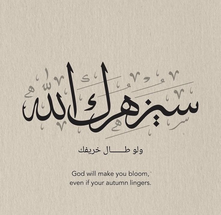 مُطمئِنةَ.! tweet media