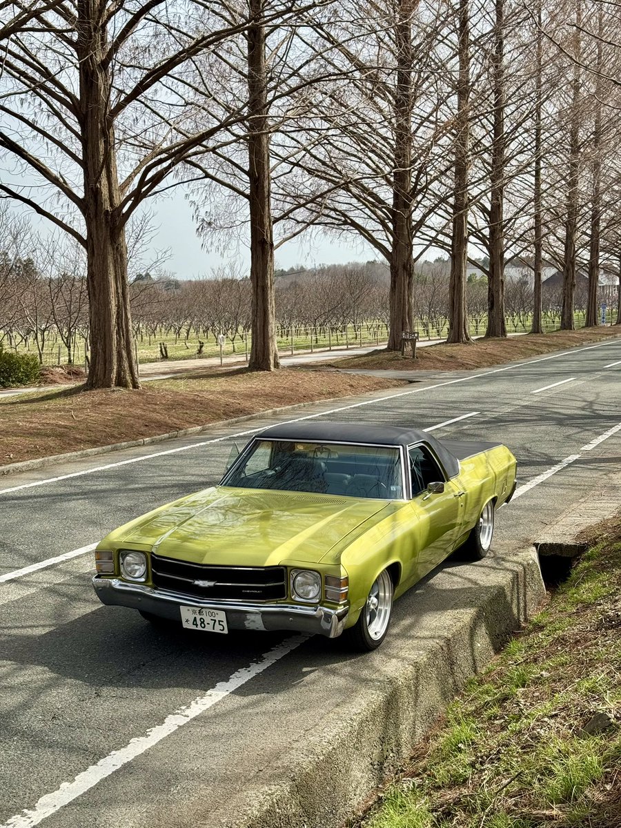 アメリカ人の友達
オレの71 El caminoも見て