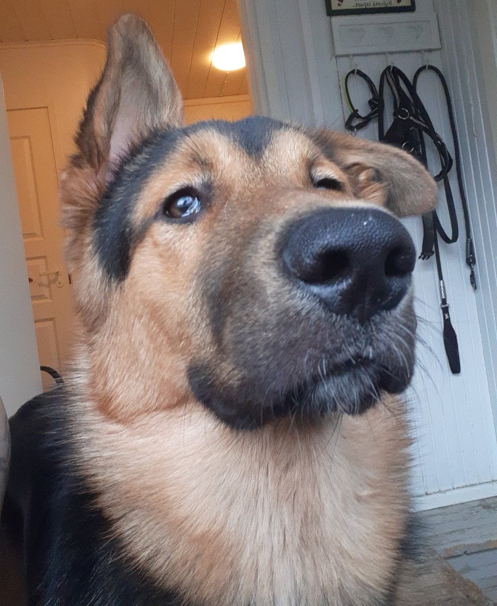 Kirsulan residenssi tweet media