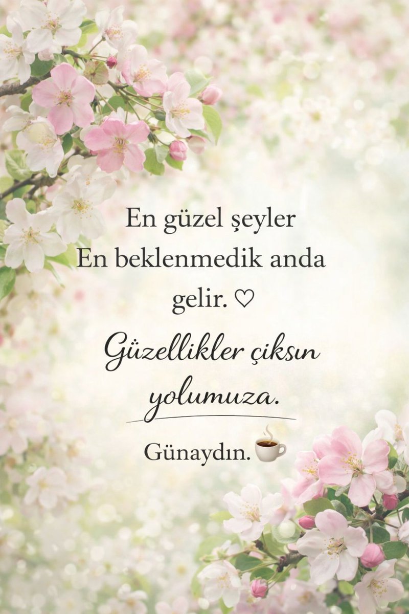 𝕊𝔼𝕍𝕀̇𝕃 𝔸𝕃𝕋𝔸𝕐 🇹🇷 tweet media