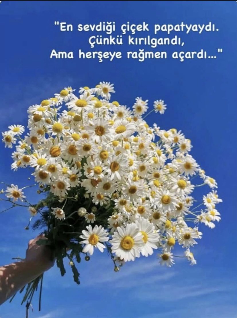Günaydın mutlu güzel sabahlar ☕️🌺🤗🌹🎶🎶🎶