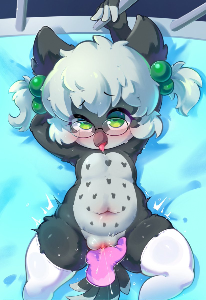 🦉PnP🦉 tweet media