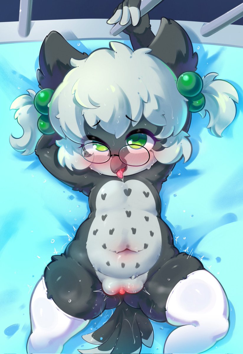 🦉PnP🦉 tweet media