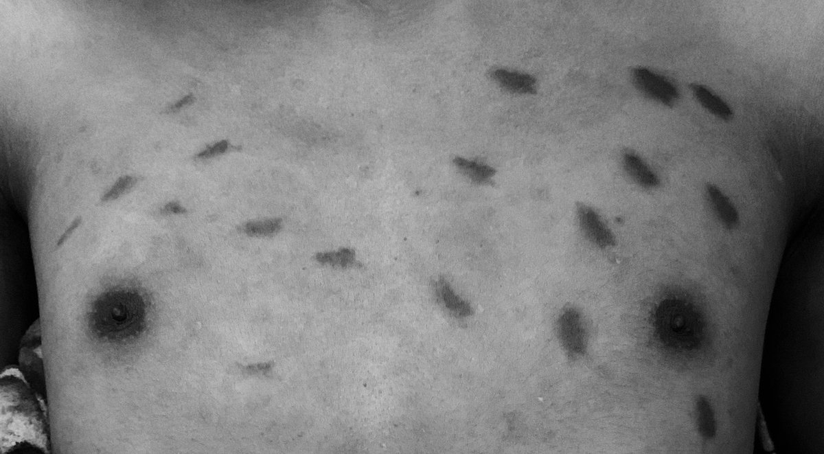 Lemon JR tweet media