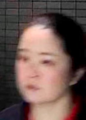 集団ストーカーを逮捕するアカウント tweet media