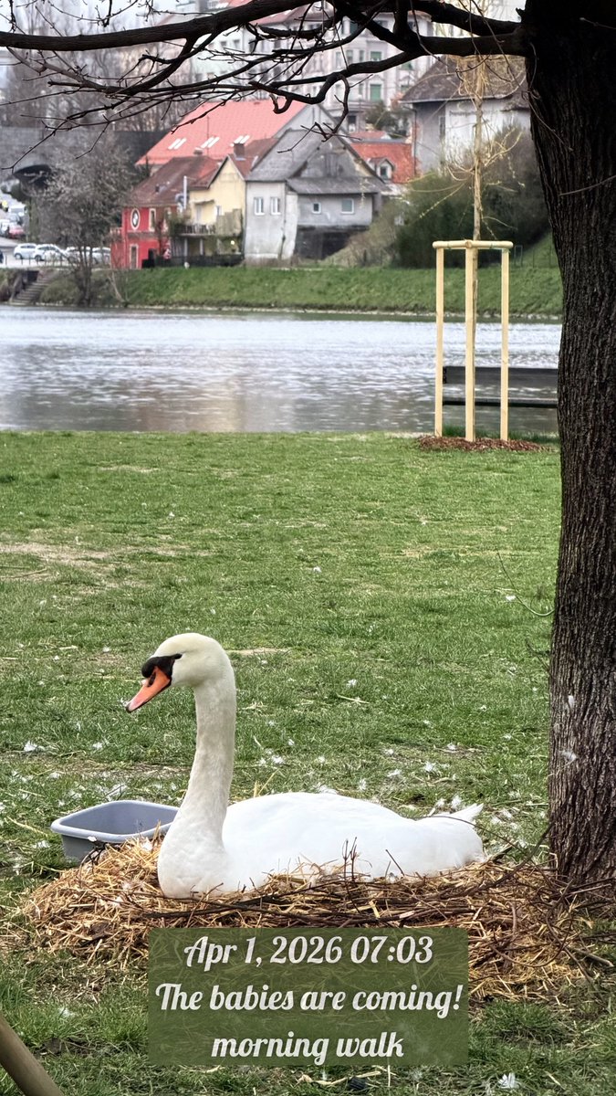 PhotoJoseph tweet media