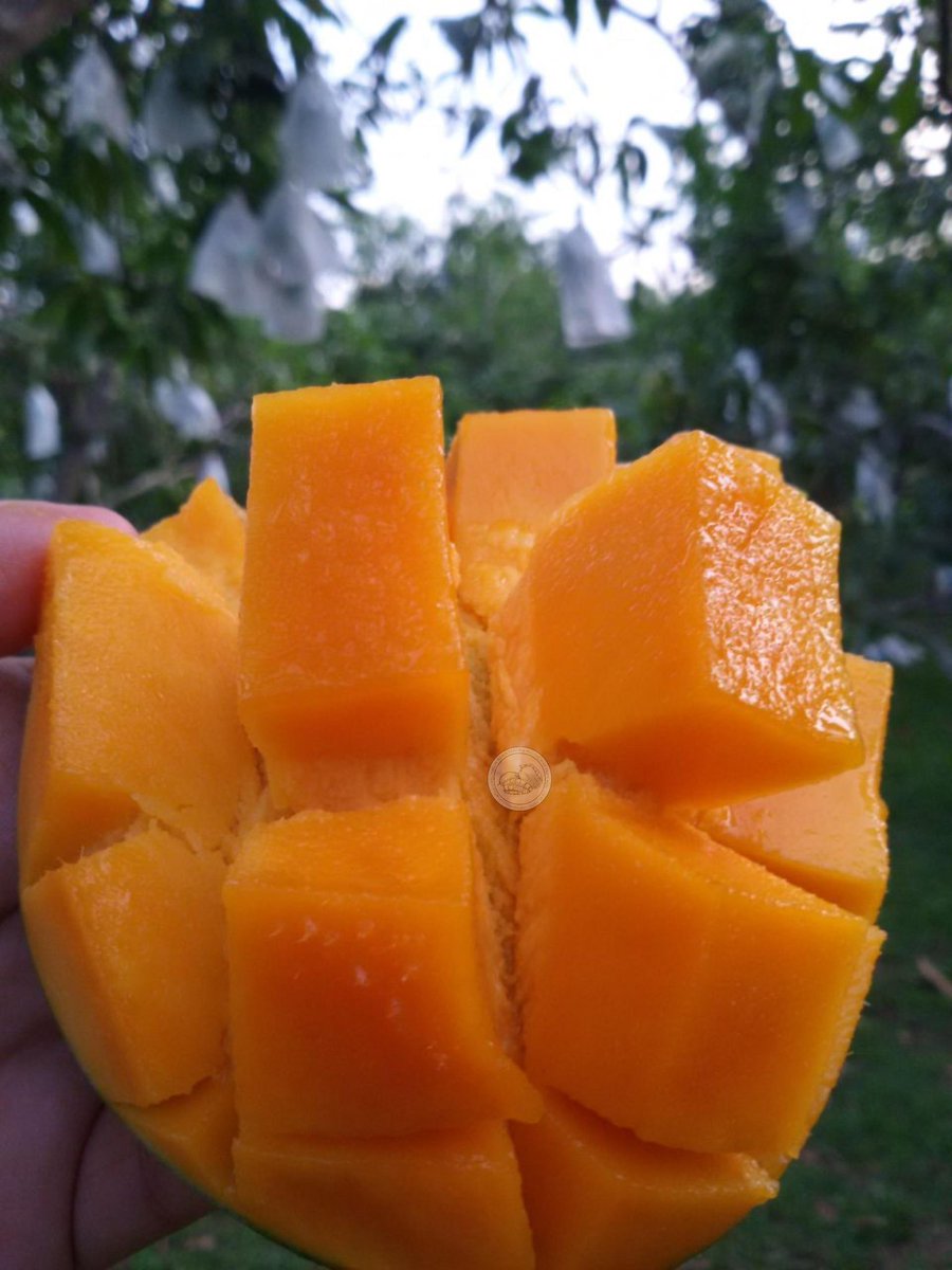 Idayu Roslan tweet media