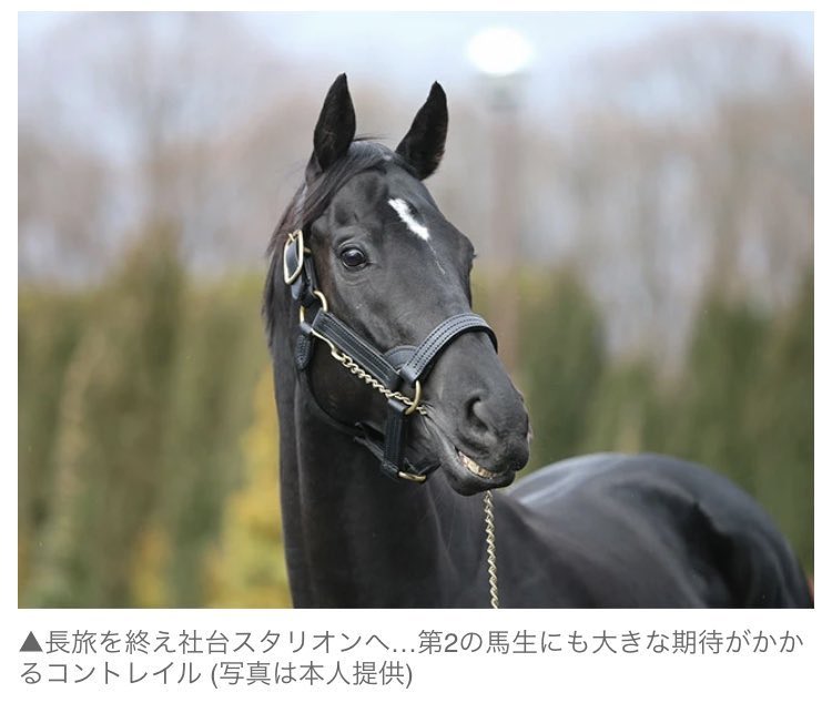 スイートポテト tweet media