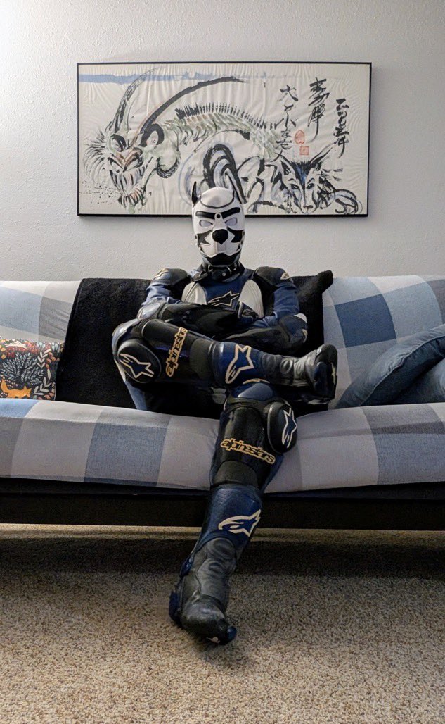 BrokenFoxAD tweet media