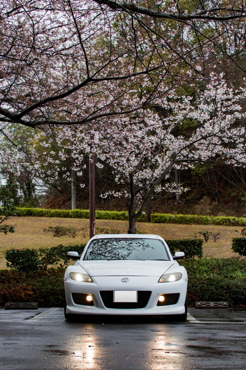 きゅー tweet media