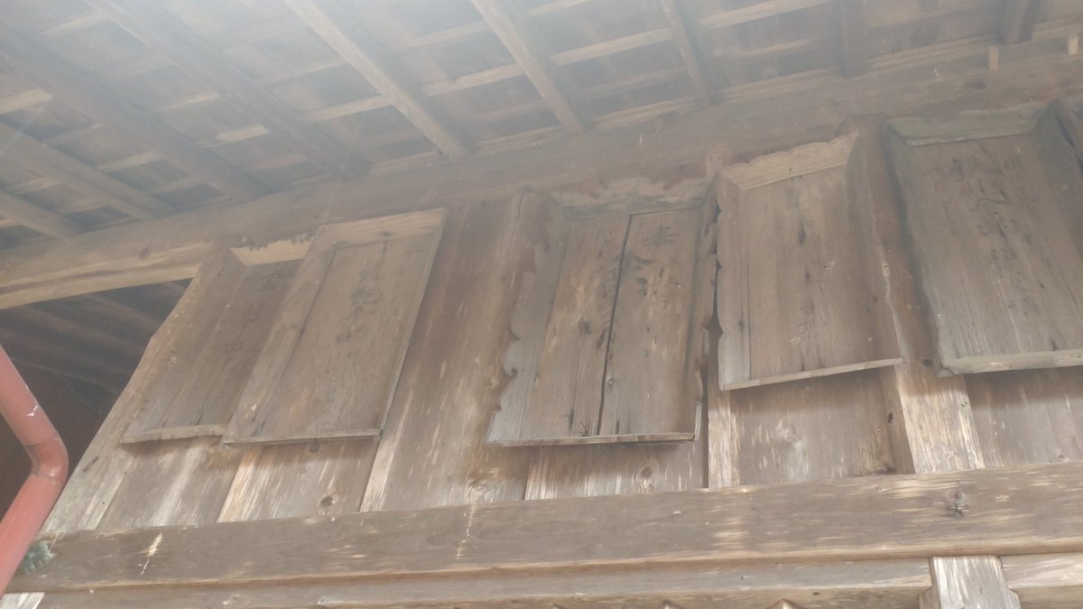 野田露簟 tweet media