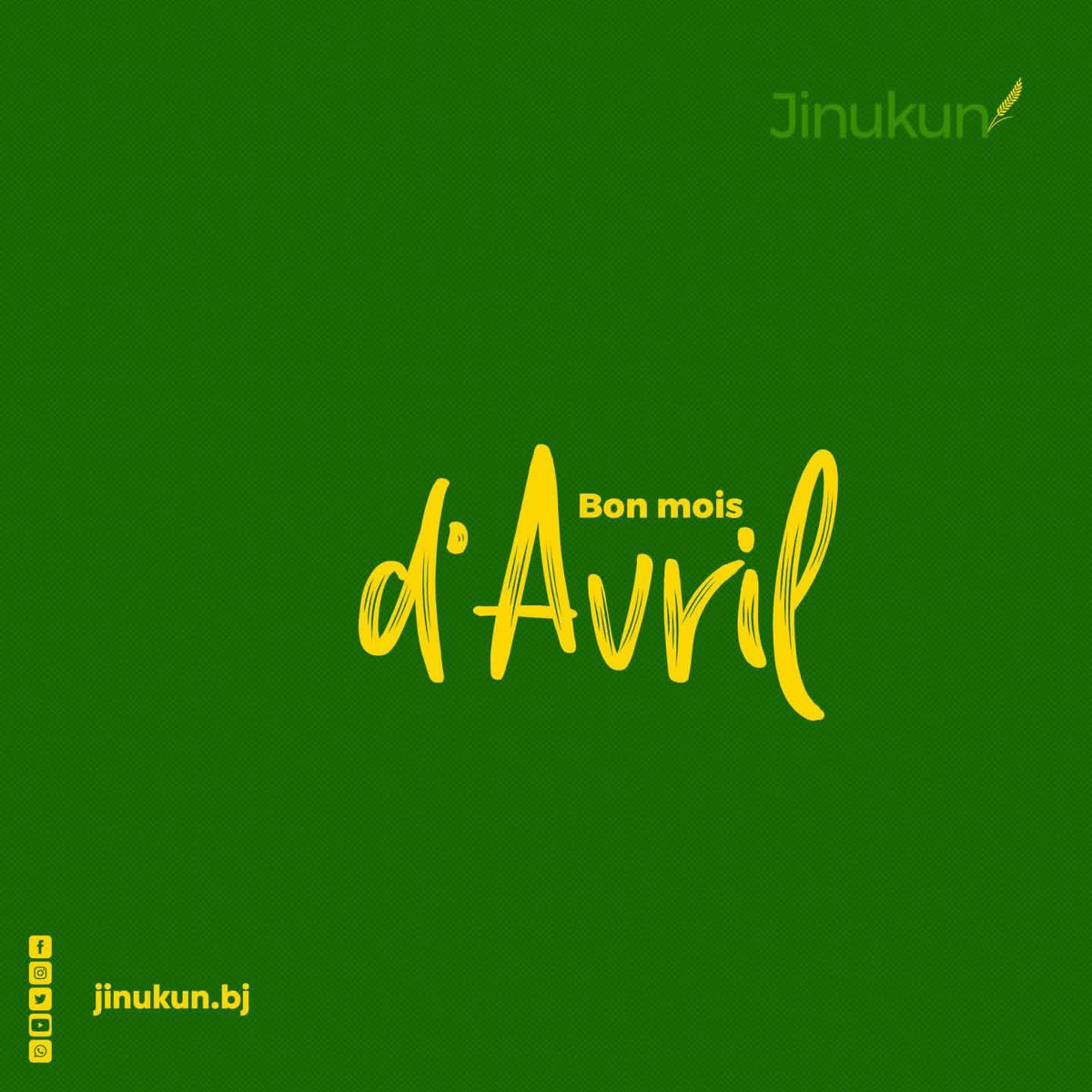 Jinukun Store tweet media