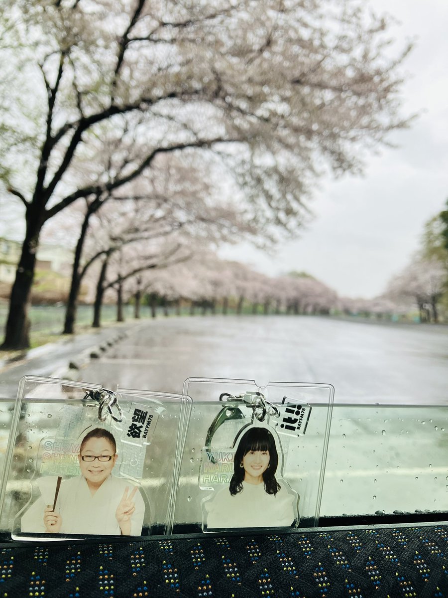 きゃらめるぱんだ tweet media