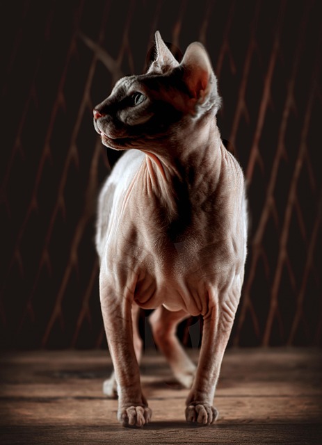 Sonia Fritzler tweet media