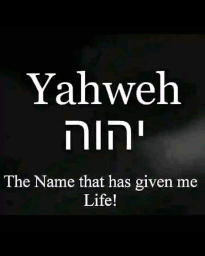 Ekade Anthony tweet media