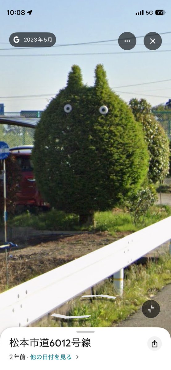 turbobaka™ tweet media