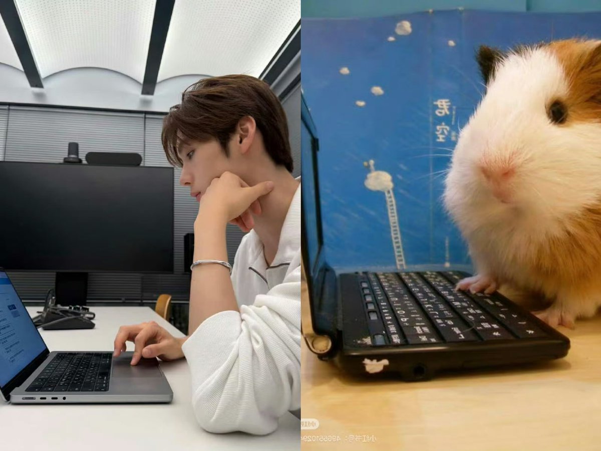 GuineaPig love🐽🐹 tweet media