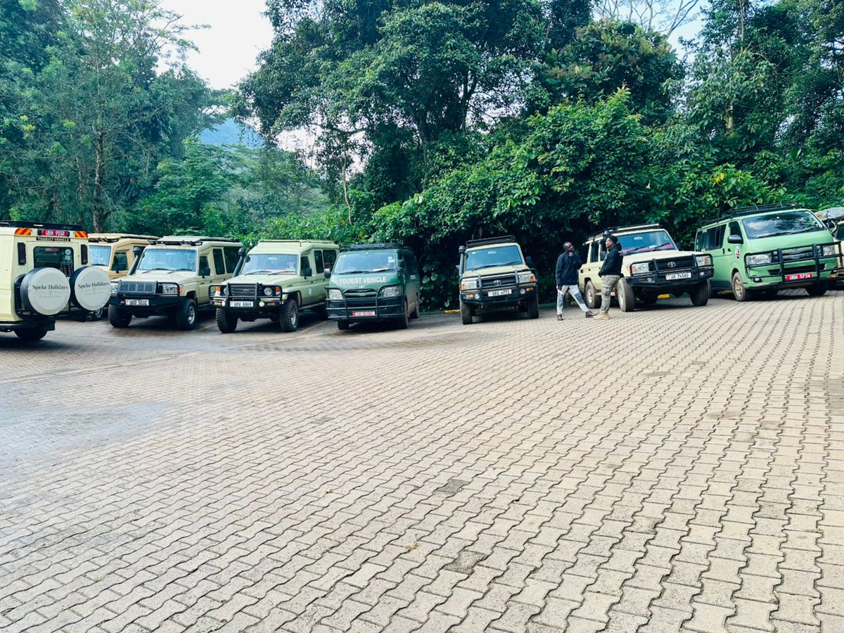 Express Safaris tweet media