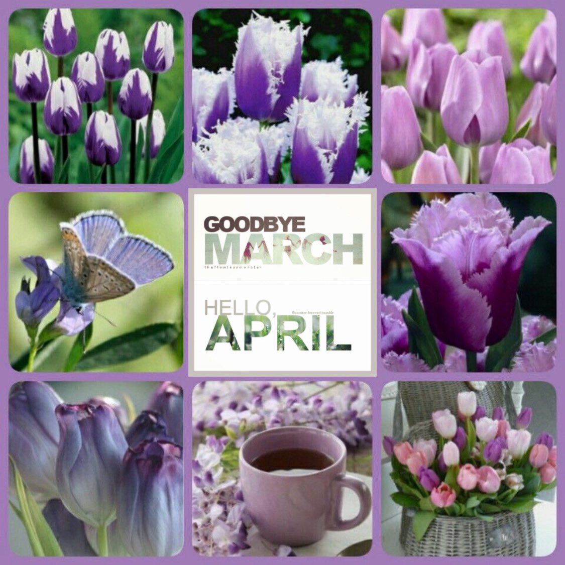 Suyapa Regina Elvir (@elvirsurela) on Twitter photo 