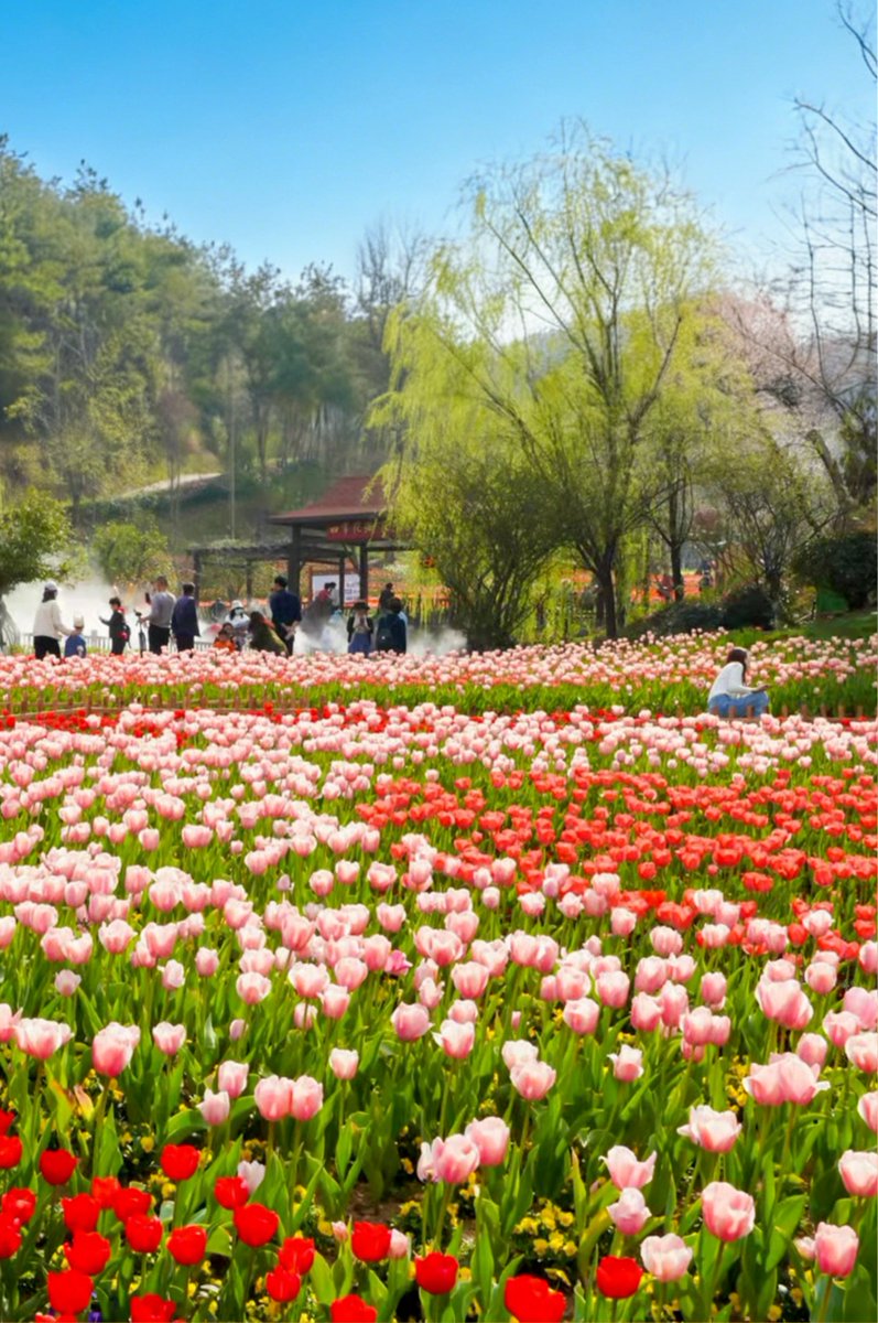 HelloHubei tweet media